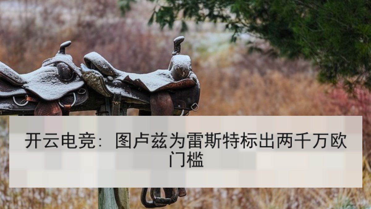 开云电竞: 图卢兹为雷斯特标出两千万欧门槛