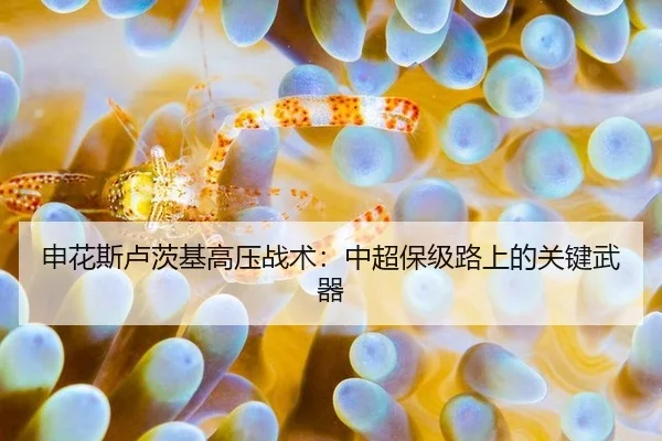 申花斯卢茨基高压战术：中超保级路上的关键武器