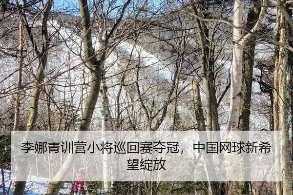 li-na-qing-xun-ying-xiao-jiang-xun-hui-sai-duo-guan-zhong-guo-wang-qiu-xin-xi-wang-zhan-fang-3-128.jpg